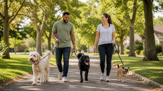 Dog owners sharing a relaxed National Dog Day walk in a sunny neighborhood park