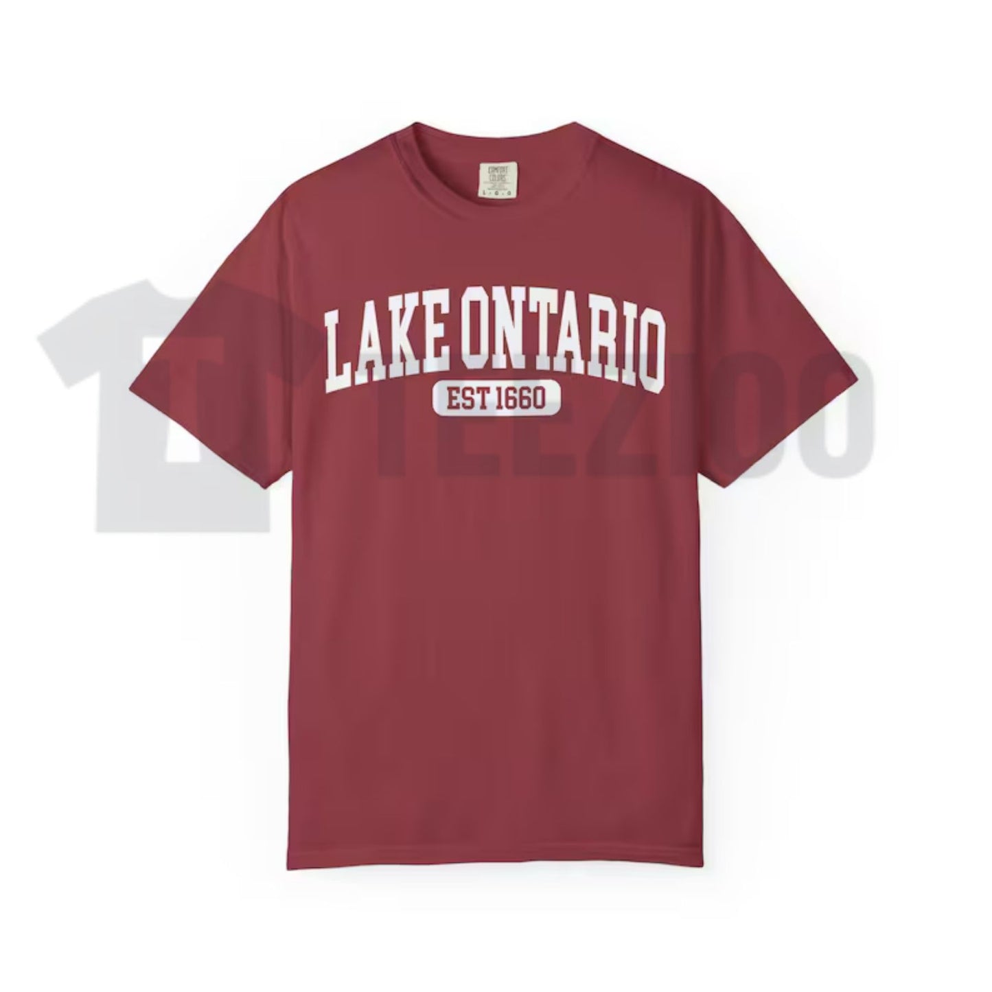 Lake Ontario Est 1660 Comfort Colors Shirt – Funny Canada Satire Tee