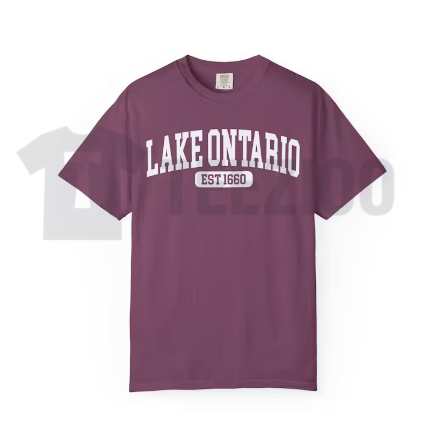 Lake Ontario Est 1660 Comfort Colors Shirt – Funny Canada Satire Tee