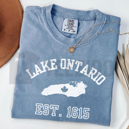 Lake Ontario Anti Trump Protest Comfort Colors Shirt – Activist Graphic Tee