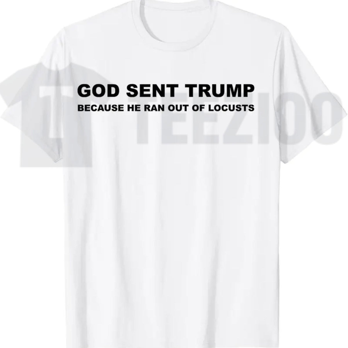 Biblical Plague Satire Graphic Top – Funny Political Humor Locusts Apparel