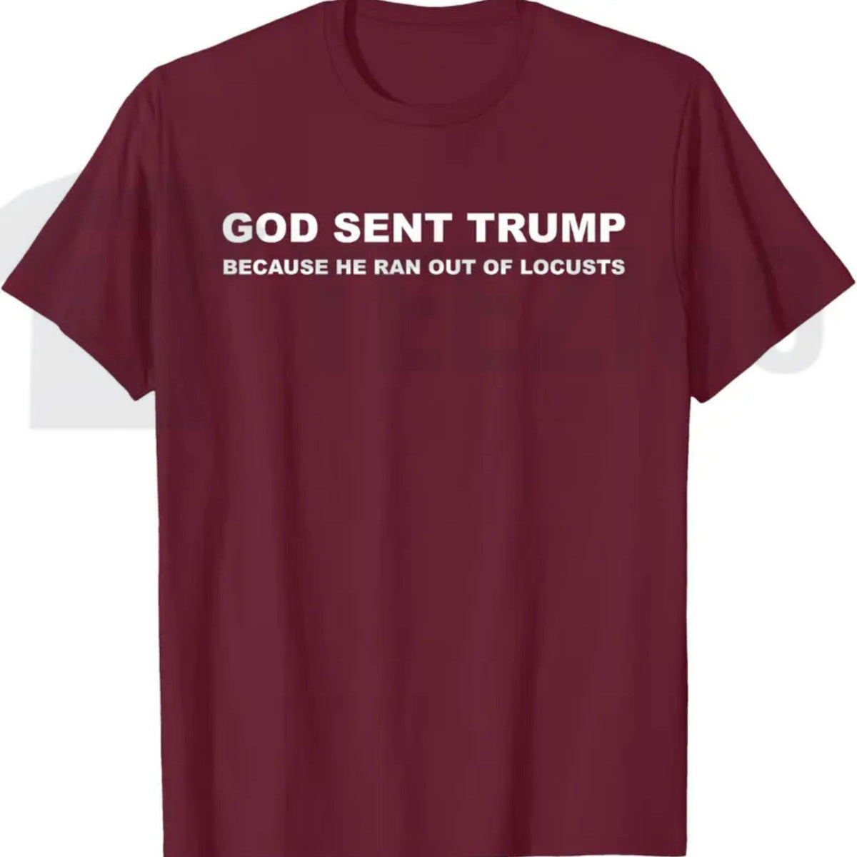 Biblical Plague Satire Graphic Top – Funny Political Humor Locusts Apparel