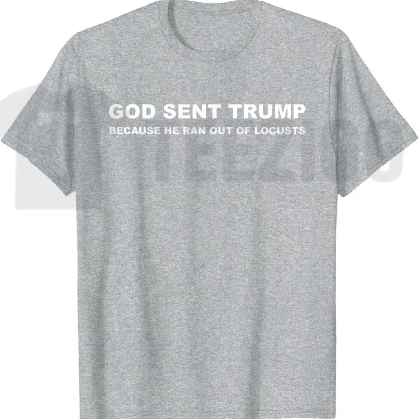 Biblical Plague Satire Graphic Top – Funny Political Humor Locusts Apparel