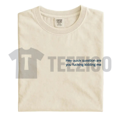 Embroidered "Are You Kidding Me" Comfort Colors Tee