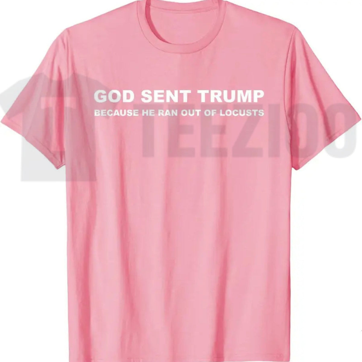 Biblical Plague Satire Graphic Top – Funny Political Humor Locusts Apparel