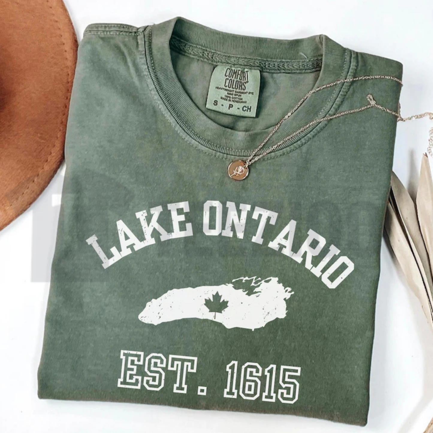 Lake Ontario Anti Trump Protest Comfort Colors Shirt – Activist Graphic Tee