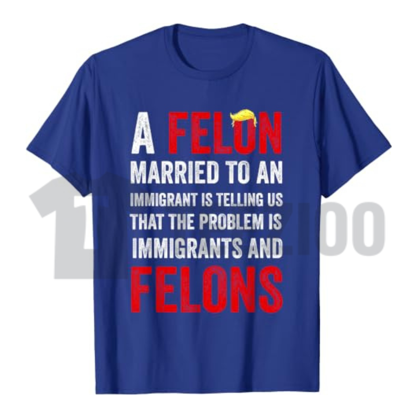 "A Felon Married to an Immigrant" T-Shirt - Funny Political Satire Graphic Tee