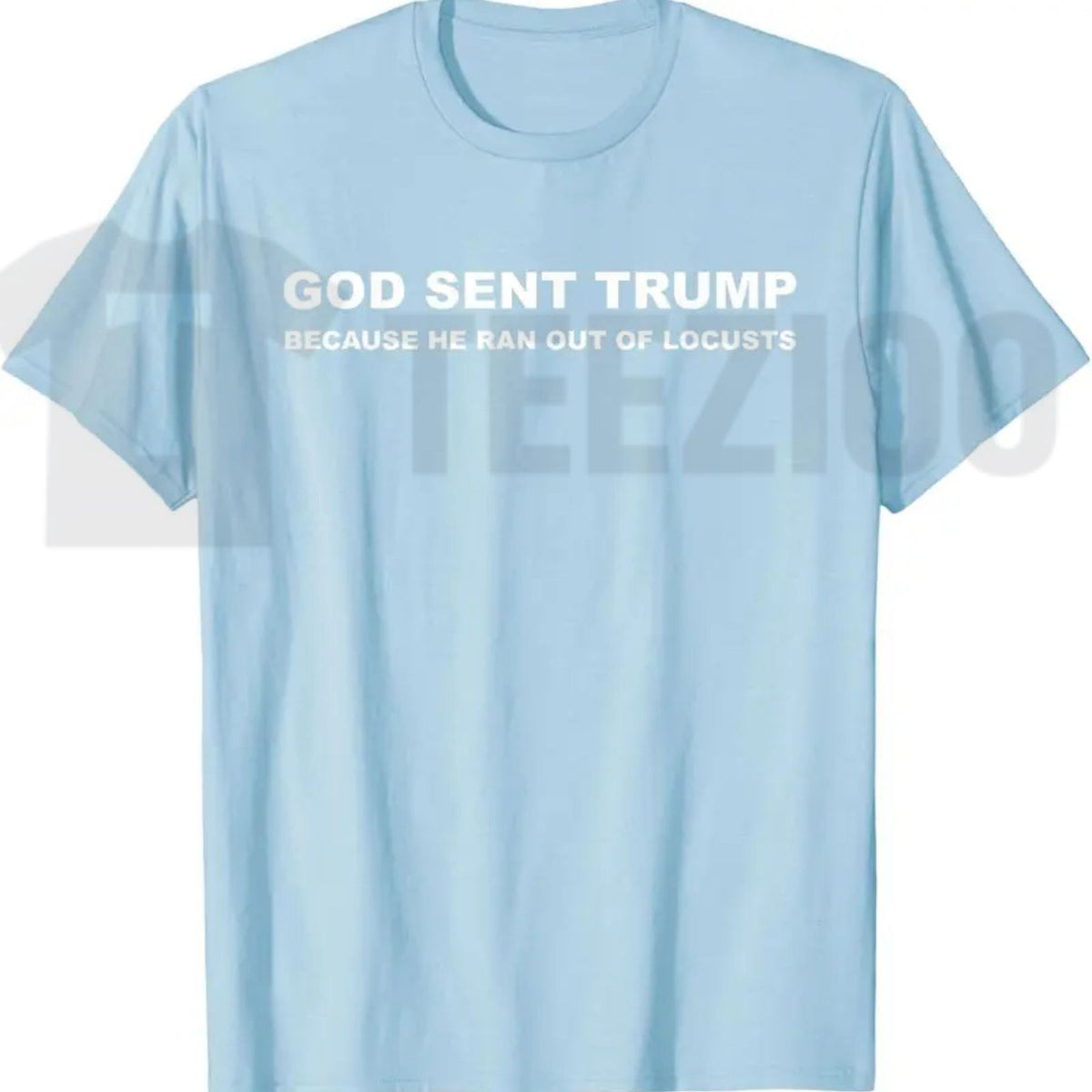 Biblical Plague Satire Graphic Top – Funny Political Humor Locusts Apparel