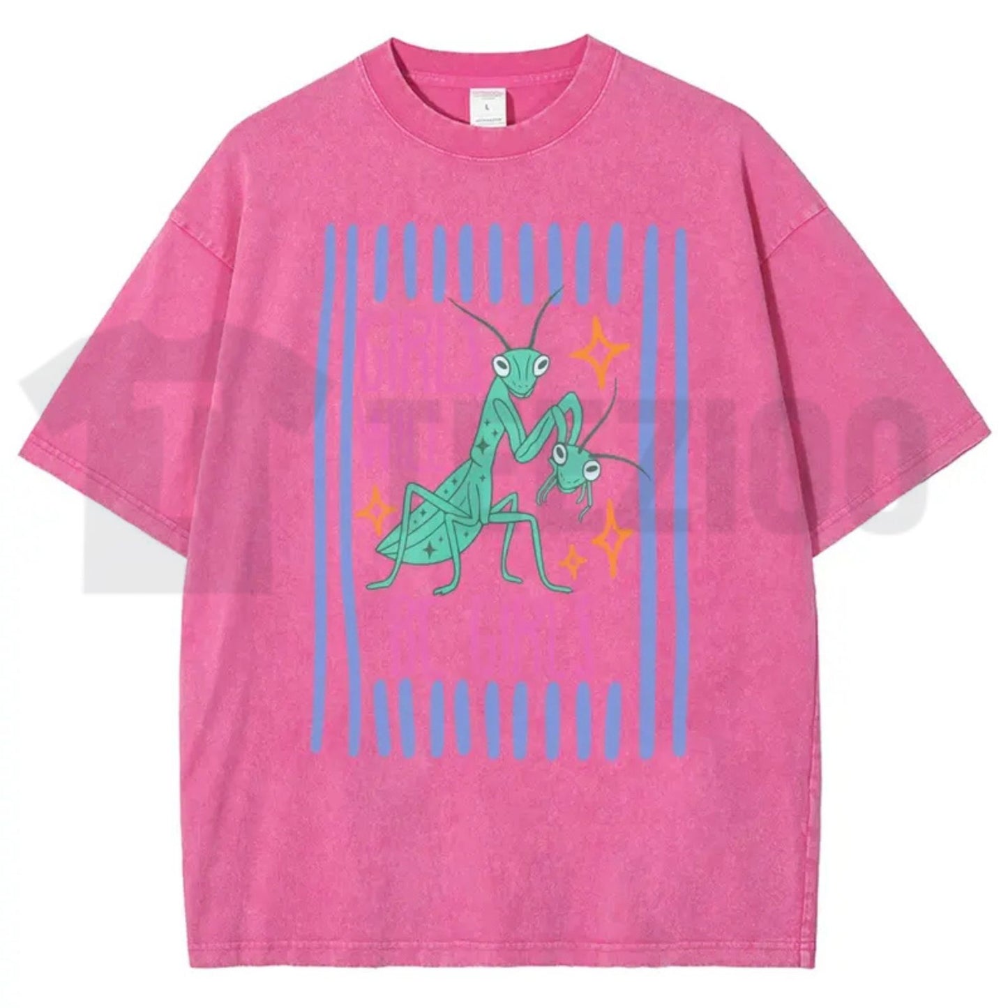 Girls Will Be Girls Mantis T-Shirt – Funny Feminist Insect Vintage Washed Graphic Tee