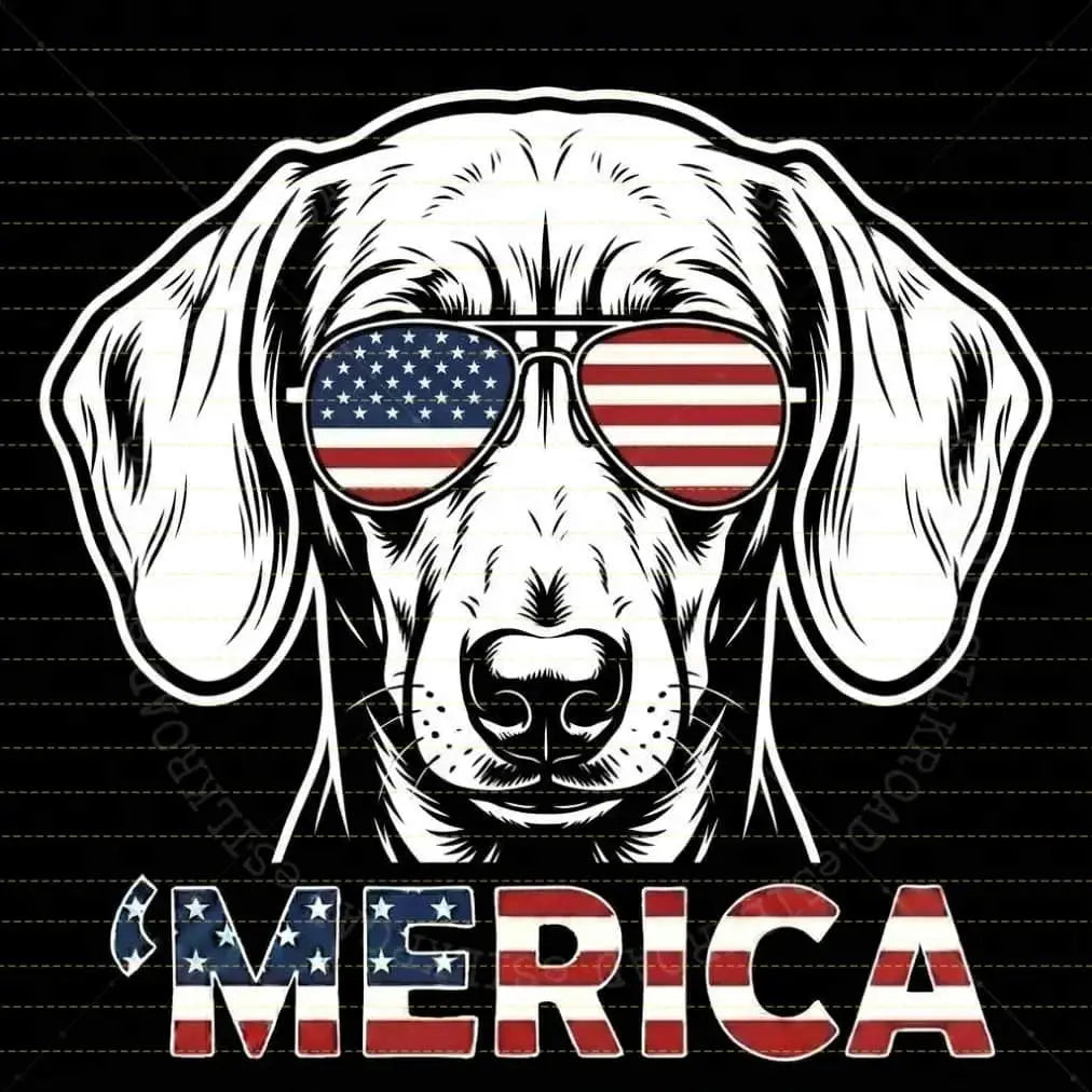 4th of July Dog Lover T-Shirt – Vintage Independence Day Graphic Tee