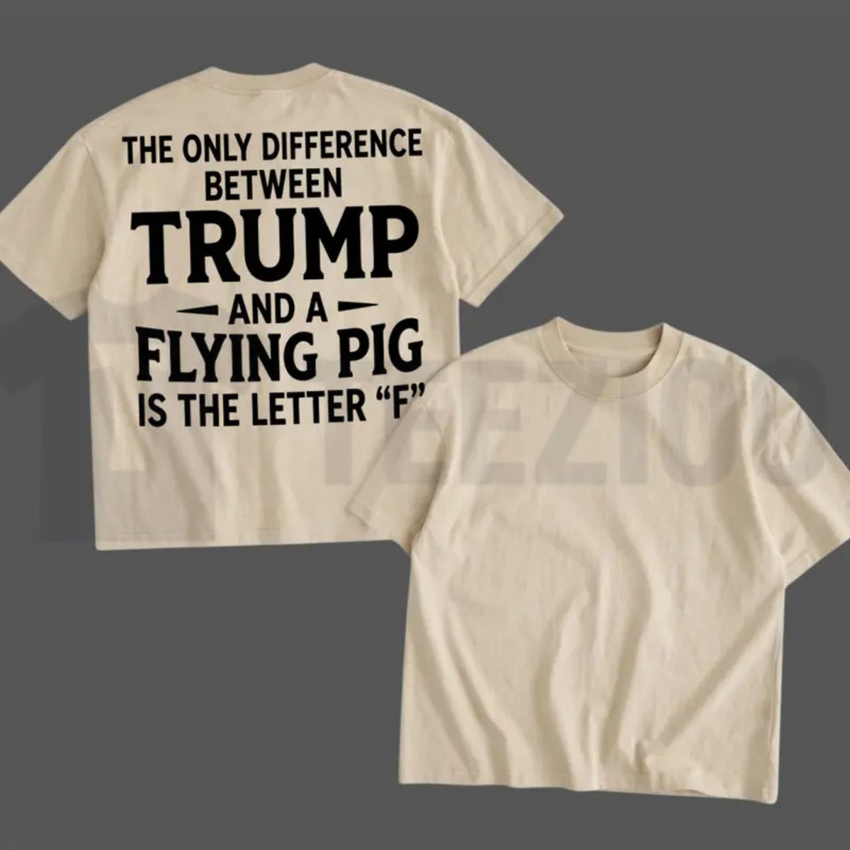 Humorous Election Campaign Statement Top – Funny Political Quote Daily Casual Apparel - Teezioo
