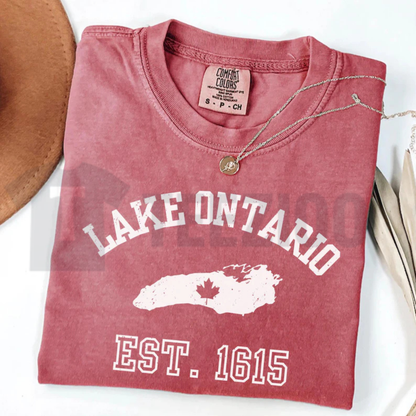 Lake Ontario Anti Trump Protest Comfort Colors Shirt – Activist Graphic Tee - Teezioo